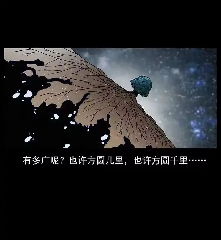 幽冥诡匠_h 482 以树为启点 第75页