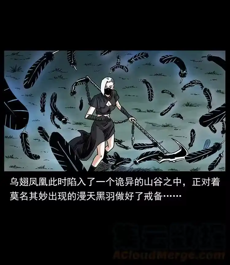 幽冥诡匠_h 484 极地鸦族 第19页