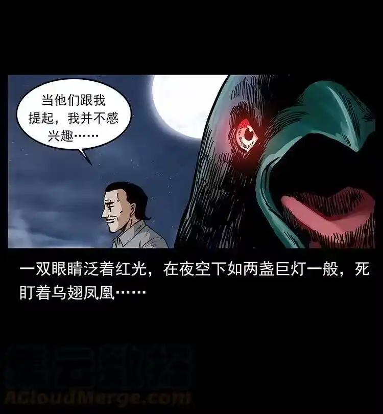 幽冥诡匠_h 484 极地鸦族 第46页