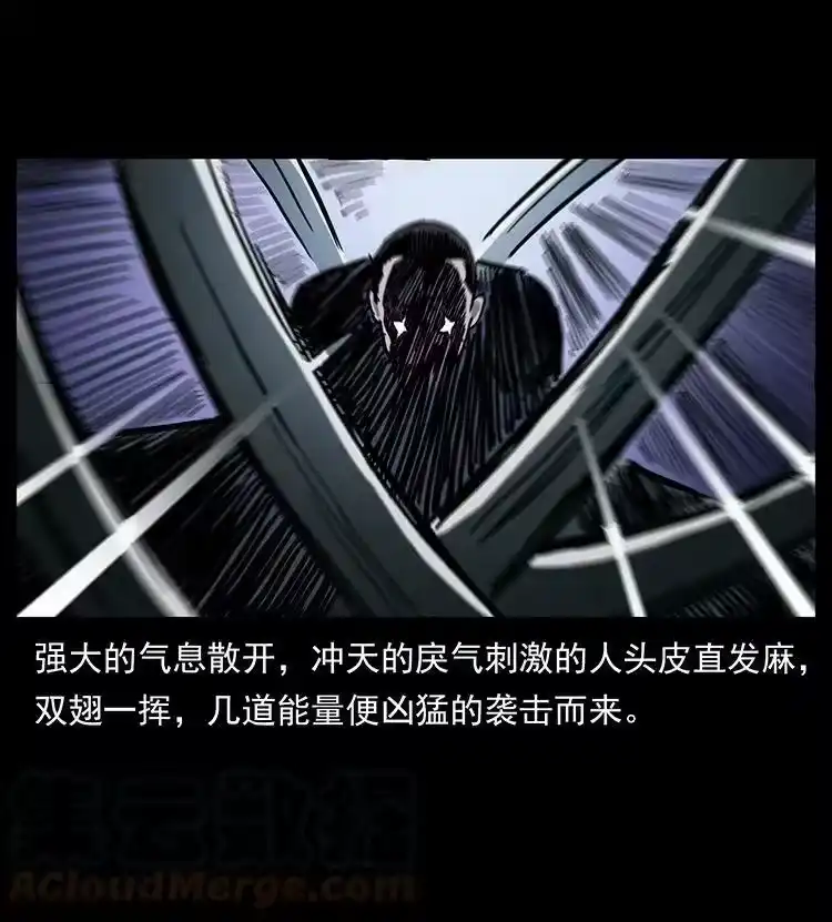 幽冥诡匠_h 484 极地鸦族 第49页