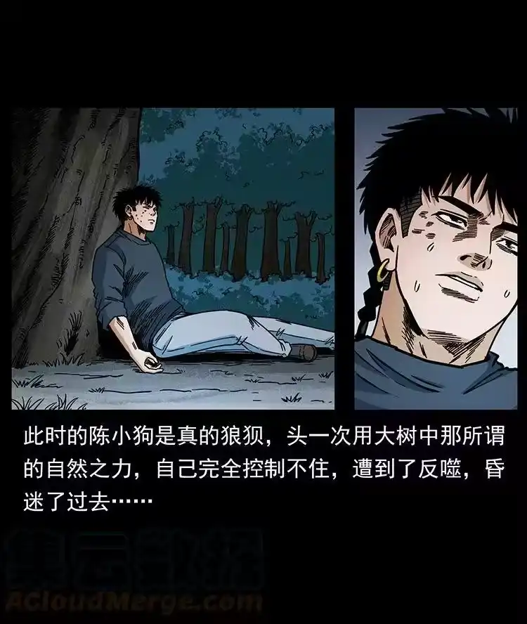 幽冥诡匠_h 484 极地鸦族 第85页