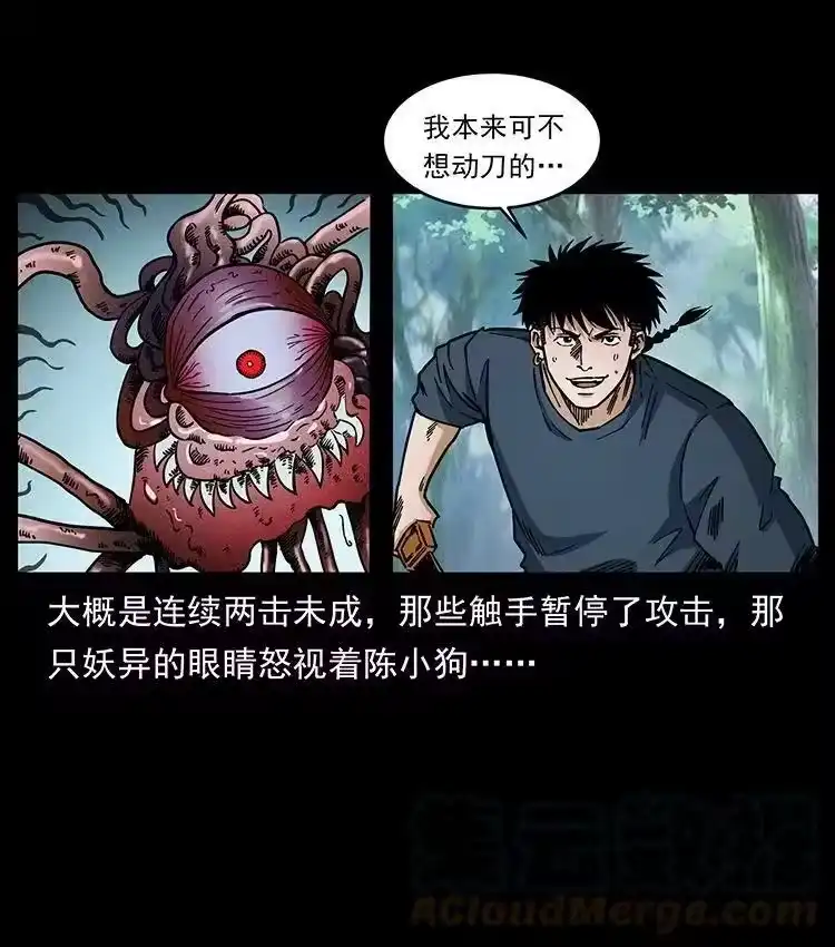 幽冥诡匠_h 485 本核 第13页