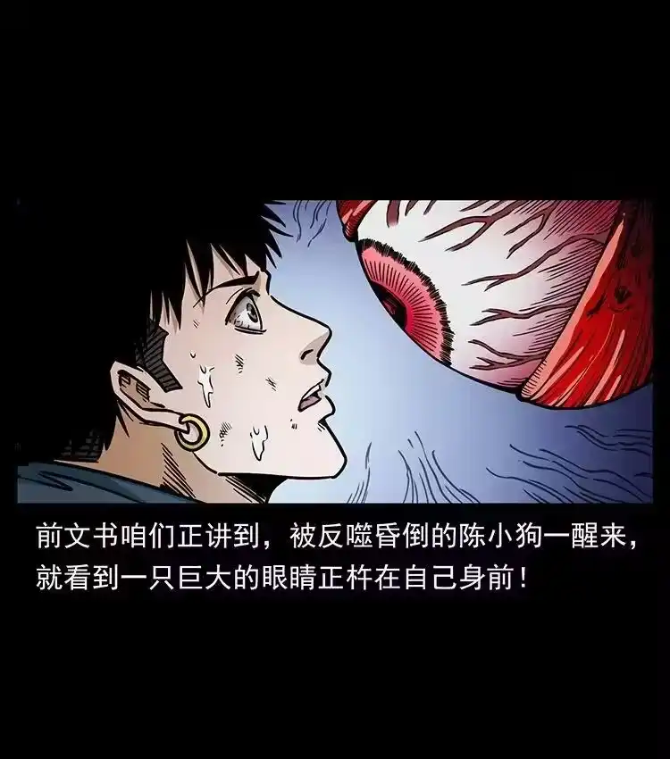 幽冥诡匠_h 485 本核 第2页