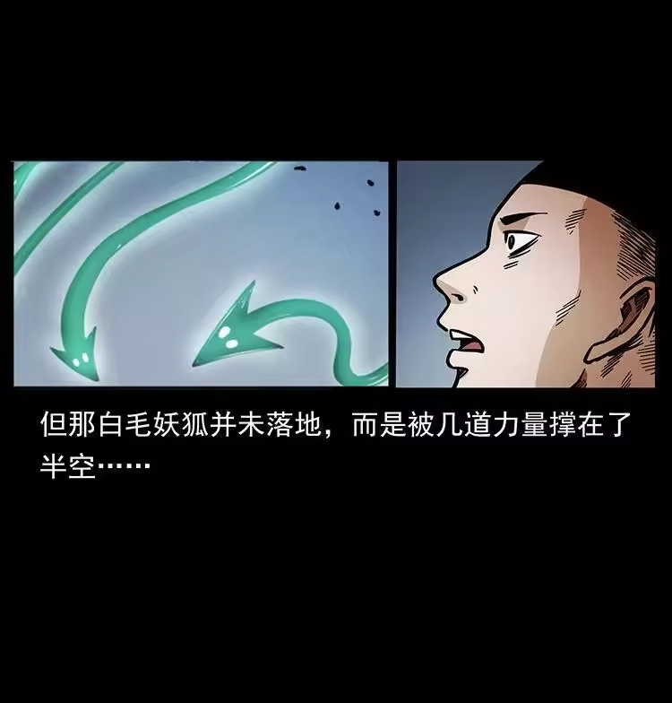 幽冥诡匠_h 486 人与狐 第32页
