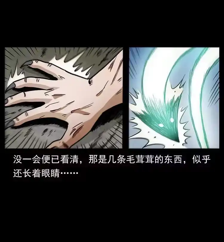 幽冥诡匠_h 486 人与狐 第33页