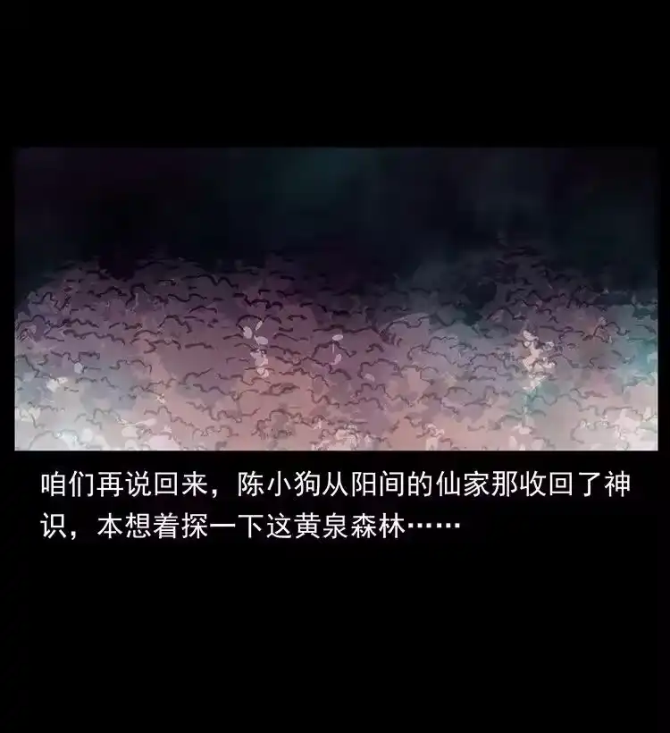 幽冥诡匠_h 490 黑暗森林 第14页