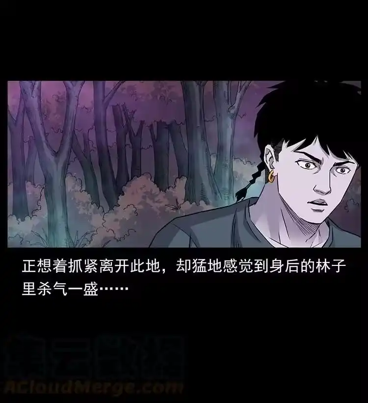 幽冥诡匠_h 490 黑暗森林 第19页
