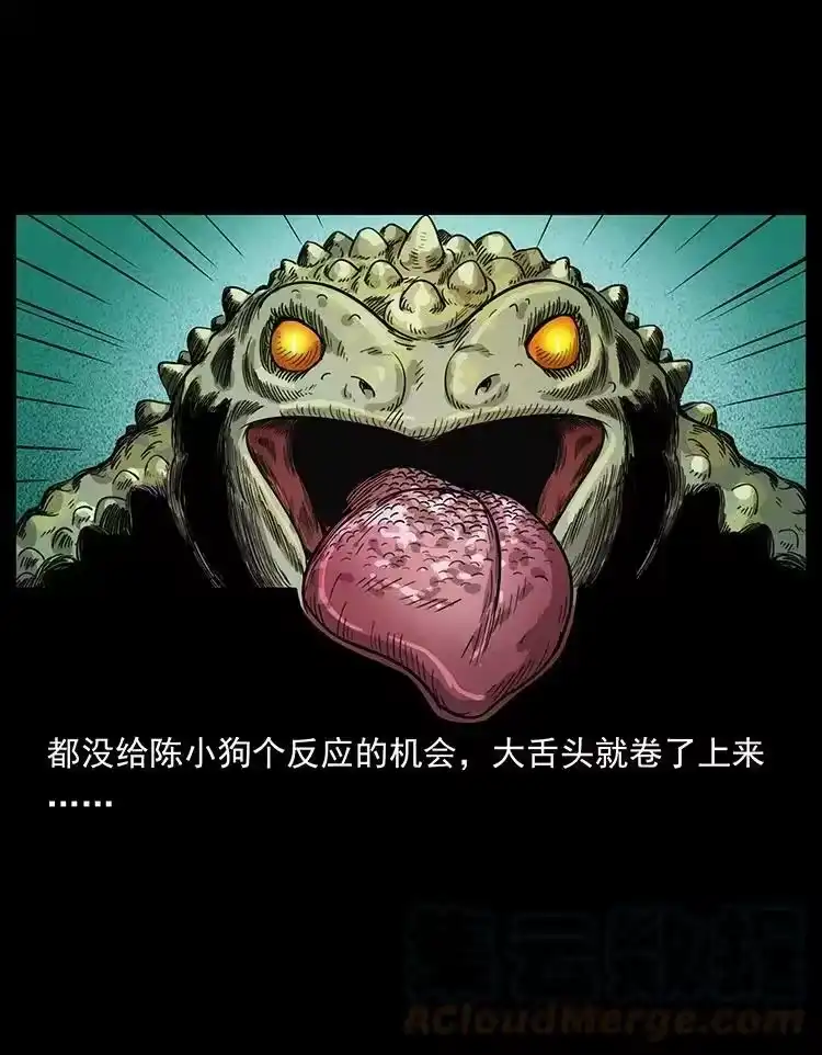 幽冥诡匠_h 492 一路危机 第61页