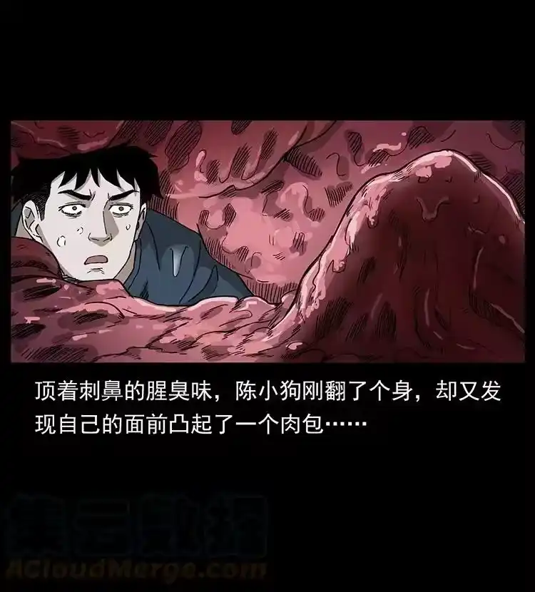 幽冥诡匠_h 492 一路危机 第64页