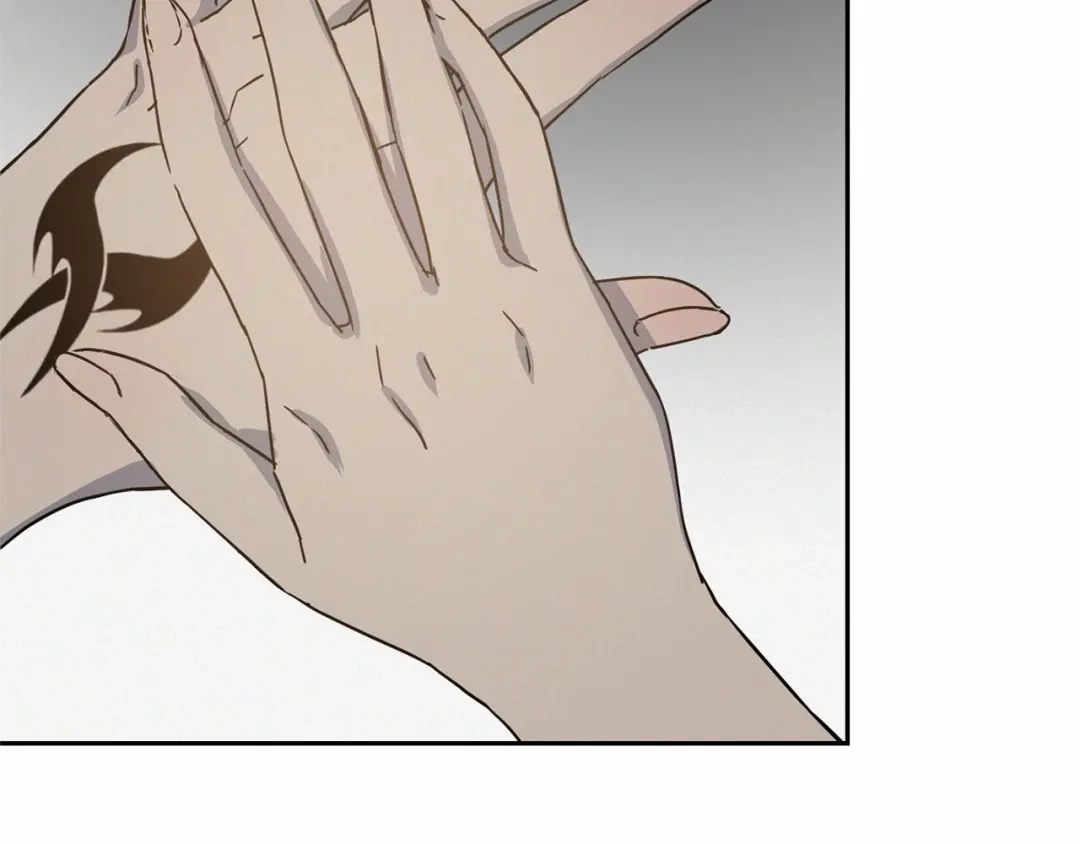 第196页