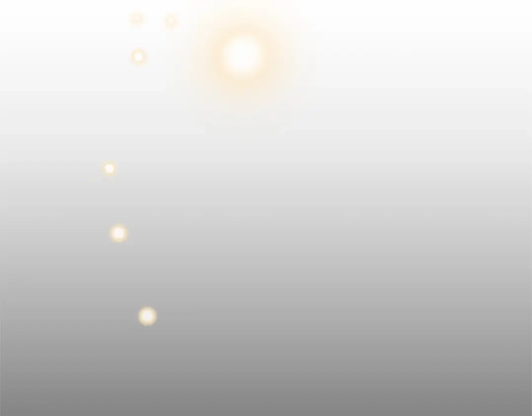 第231页