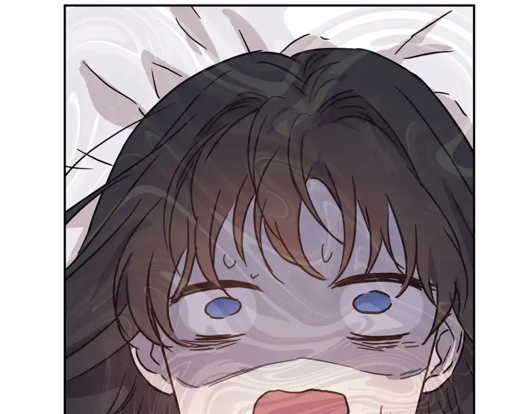 第237页