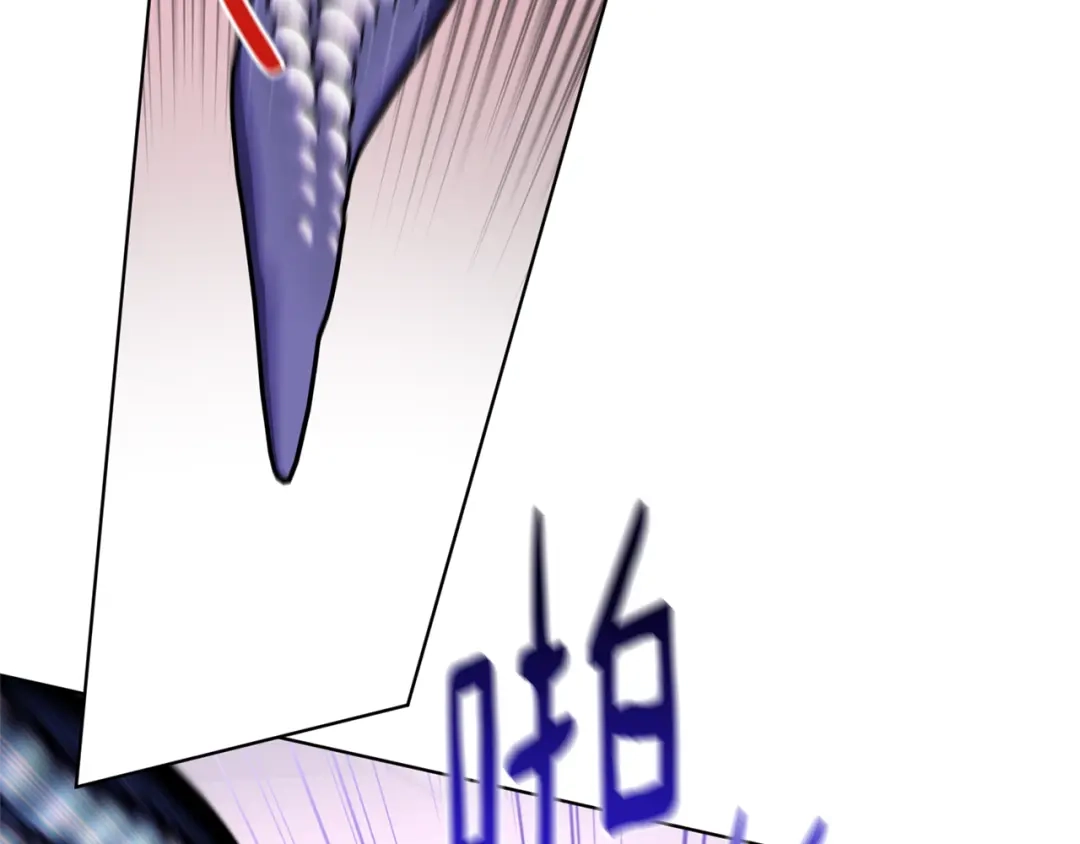第205页