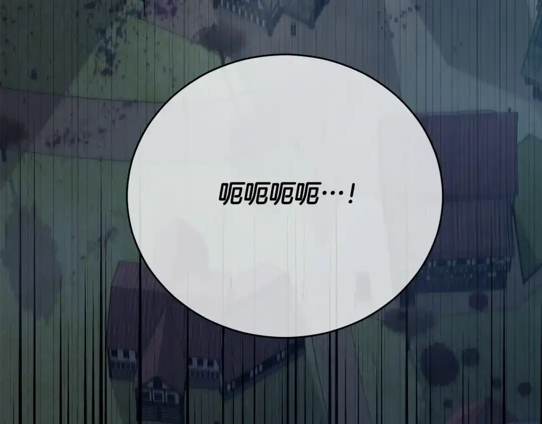 第202页