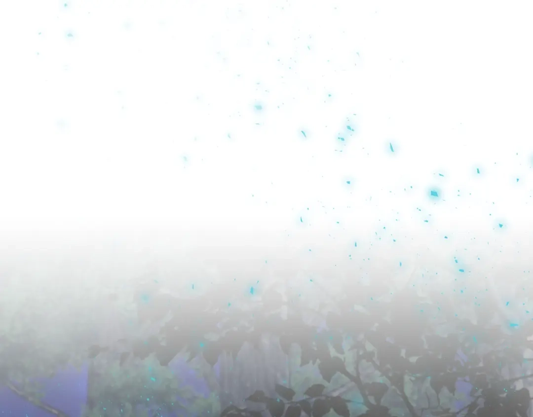 第206页