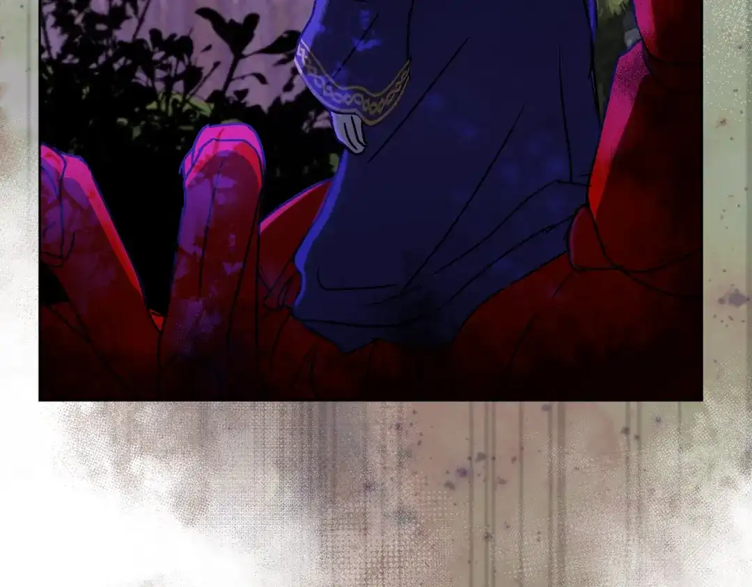 第215页