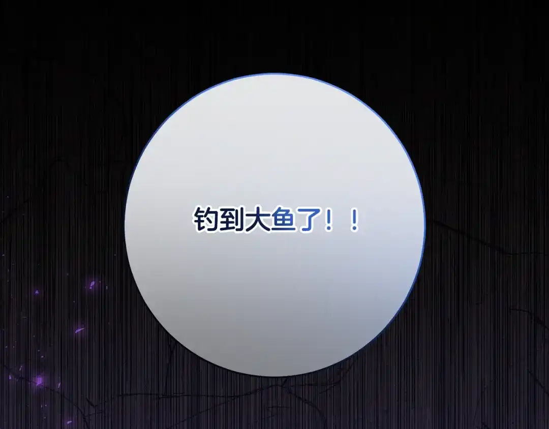 第215页