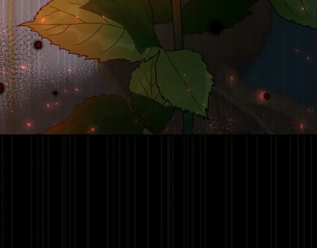 第178页