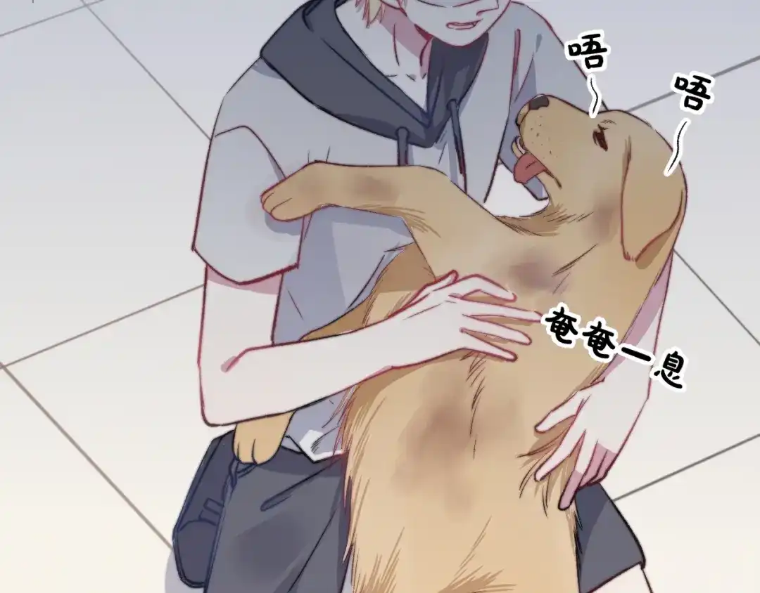 第64页