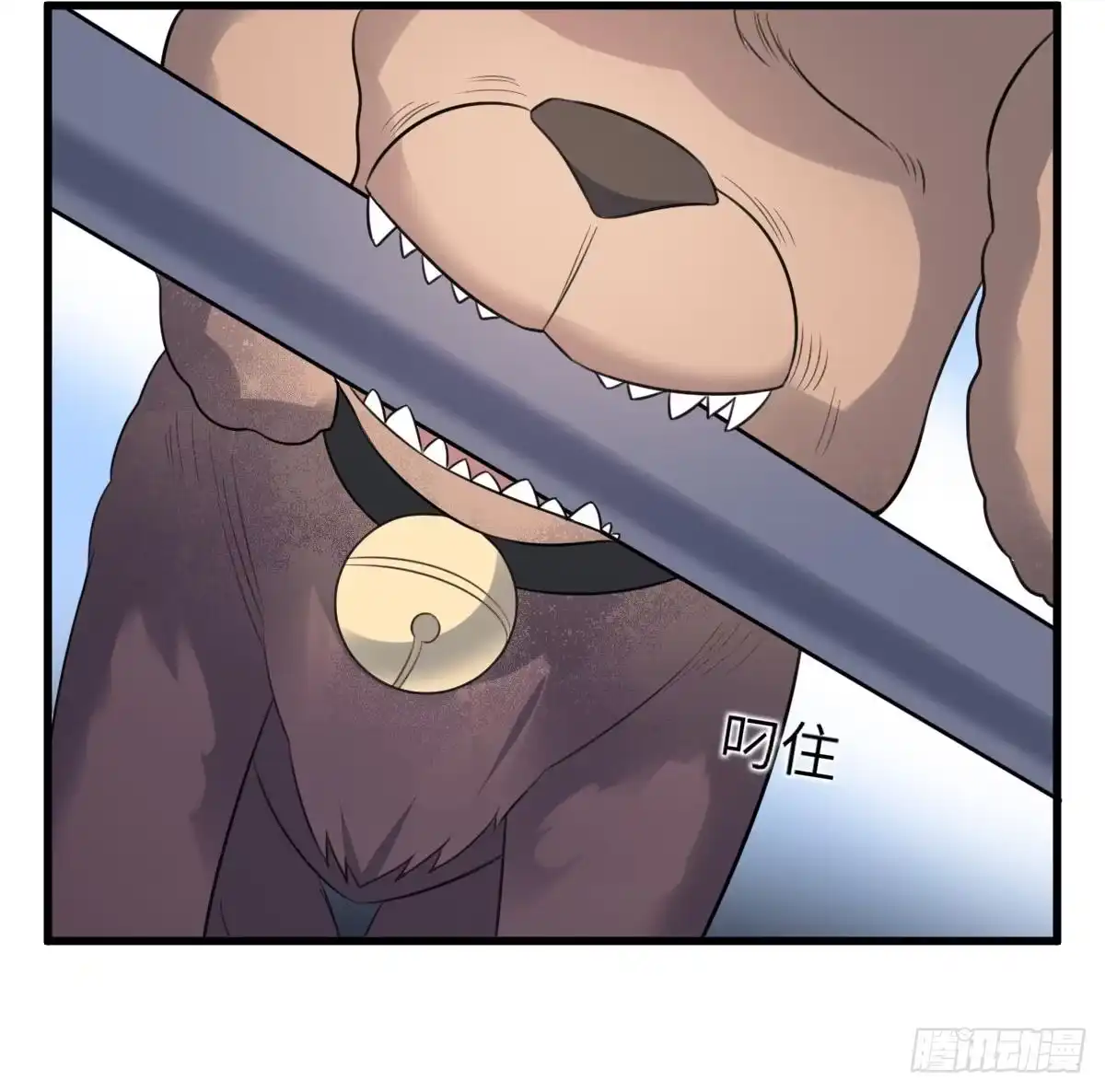 第43页