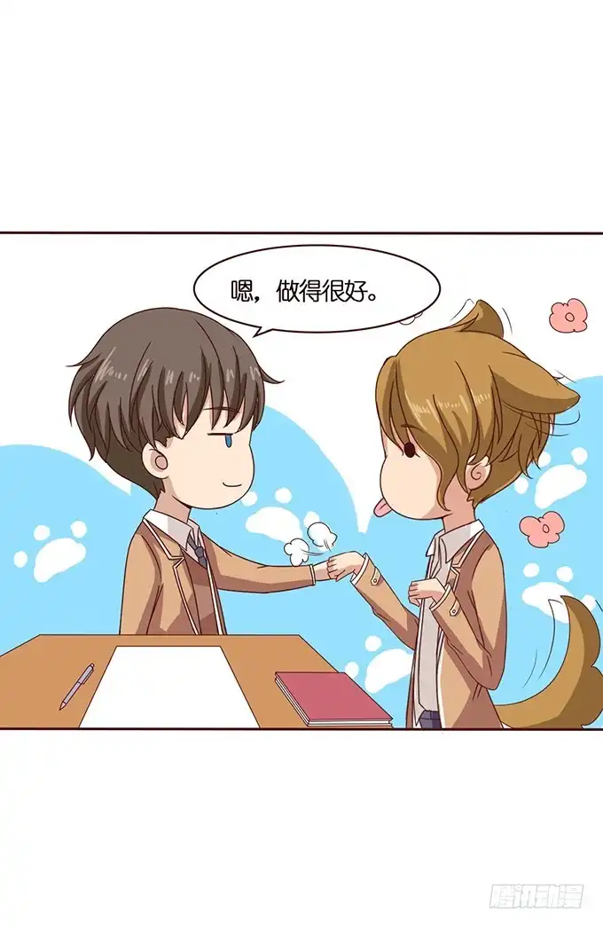 第41页