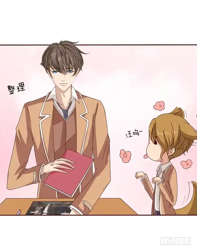 第42页