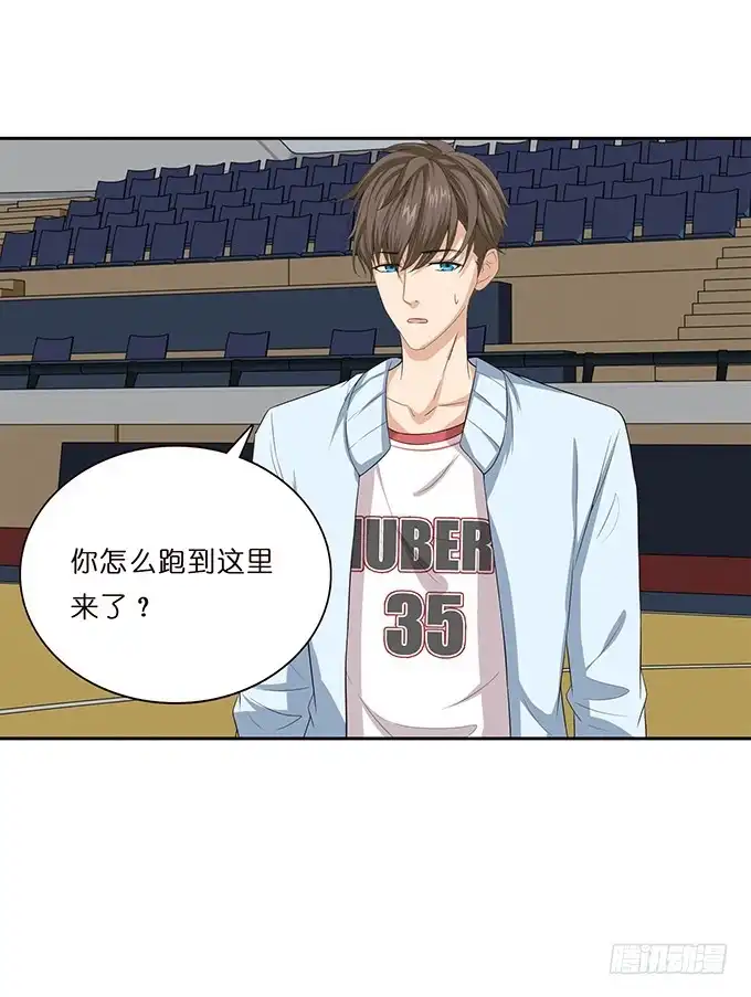 第43页