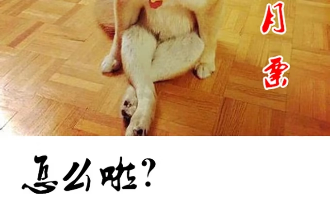 第92页