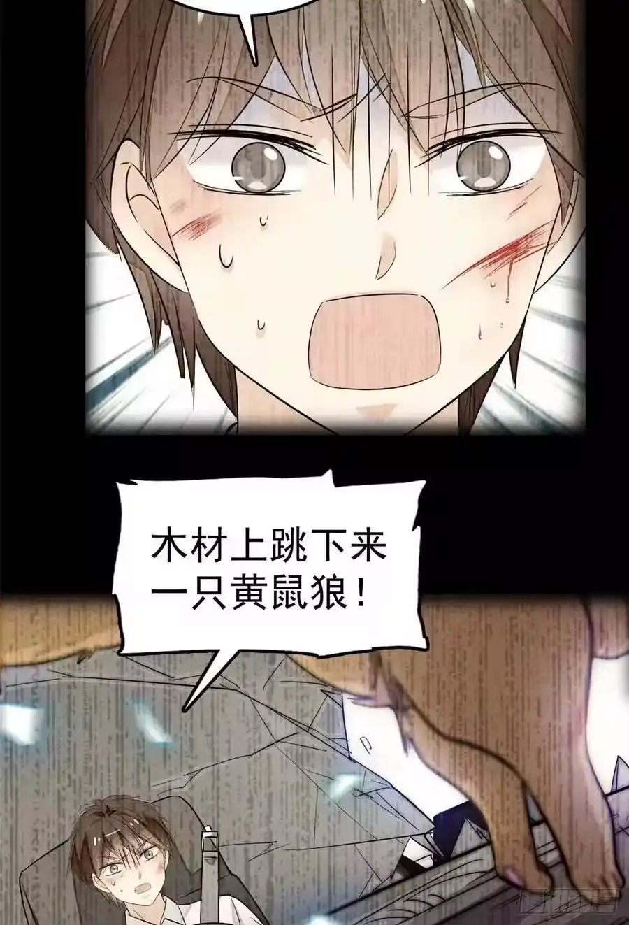 第51页