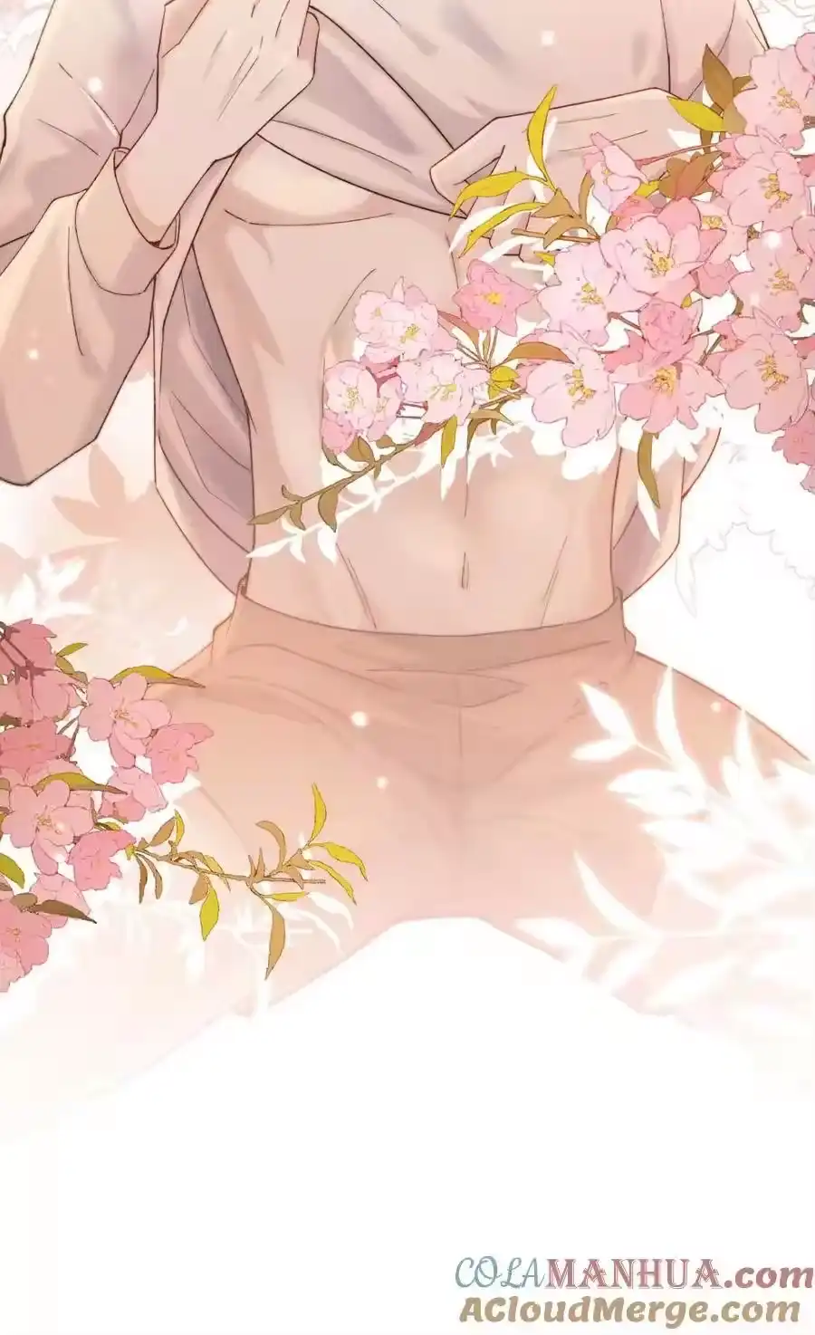 第43页