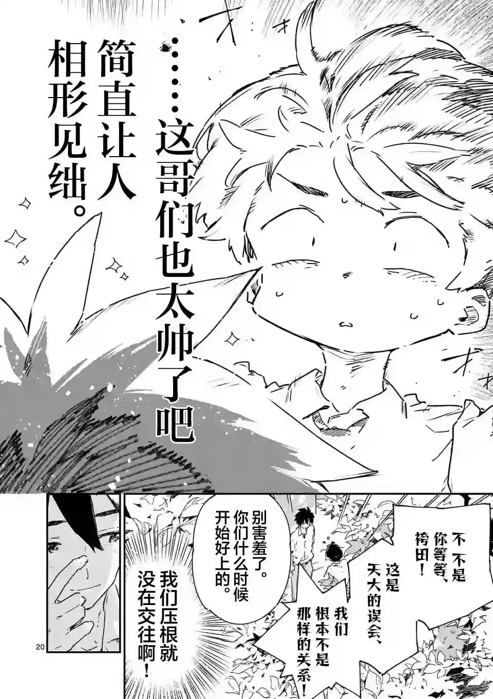 第20页