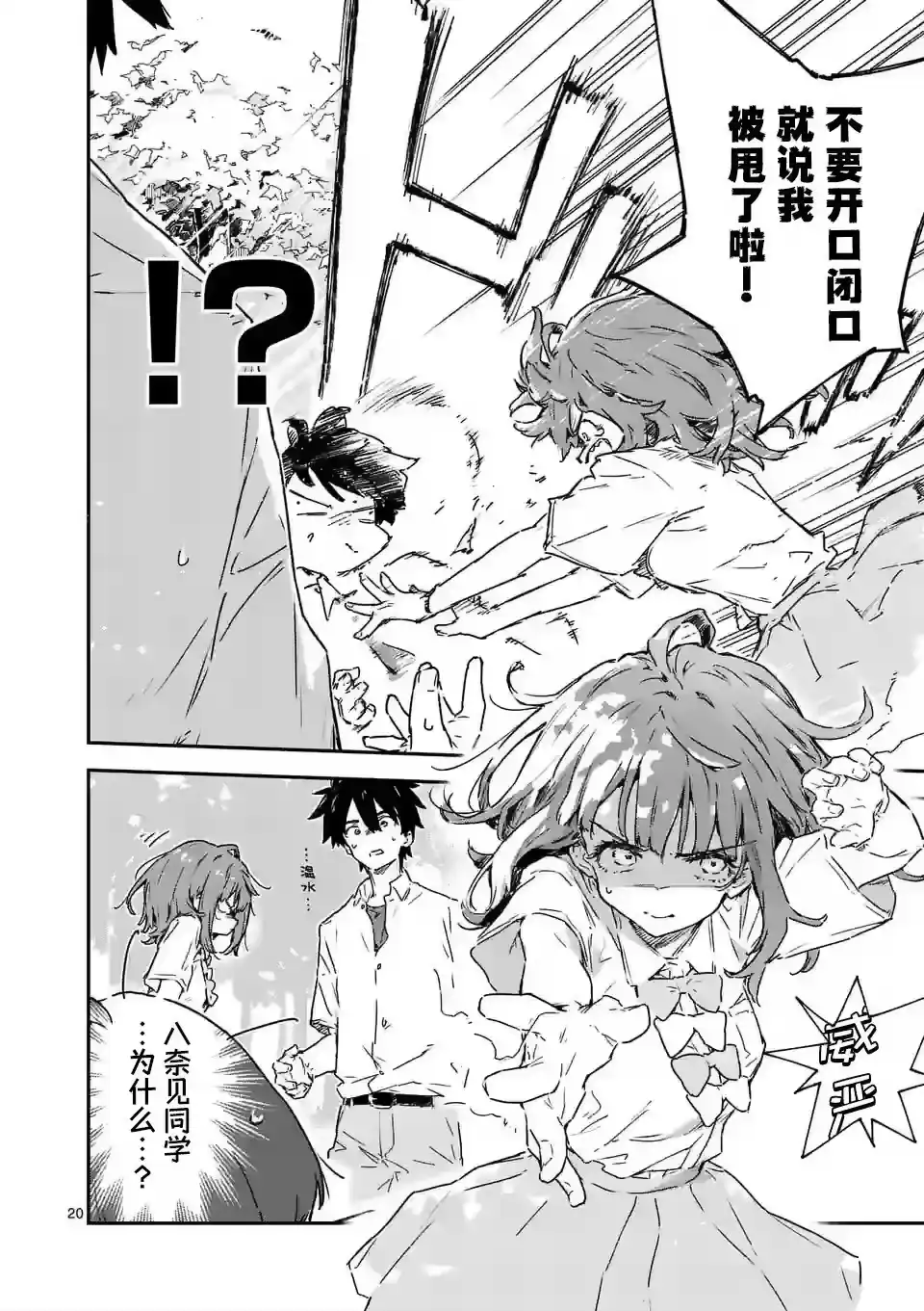 第20页