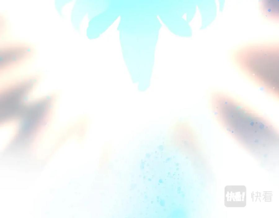 第247页