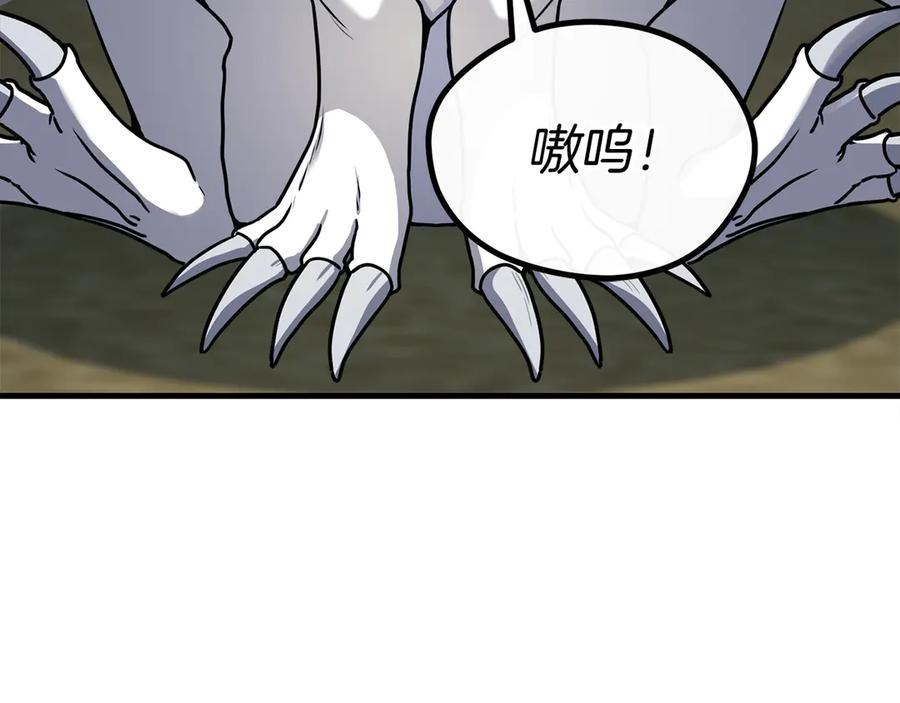 第339页