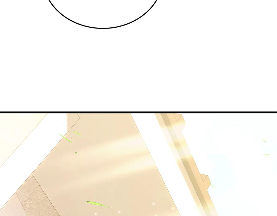 第262页