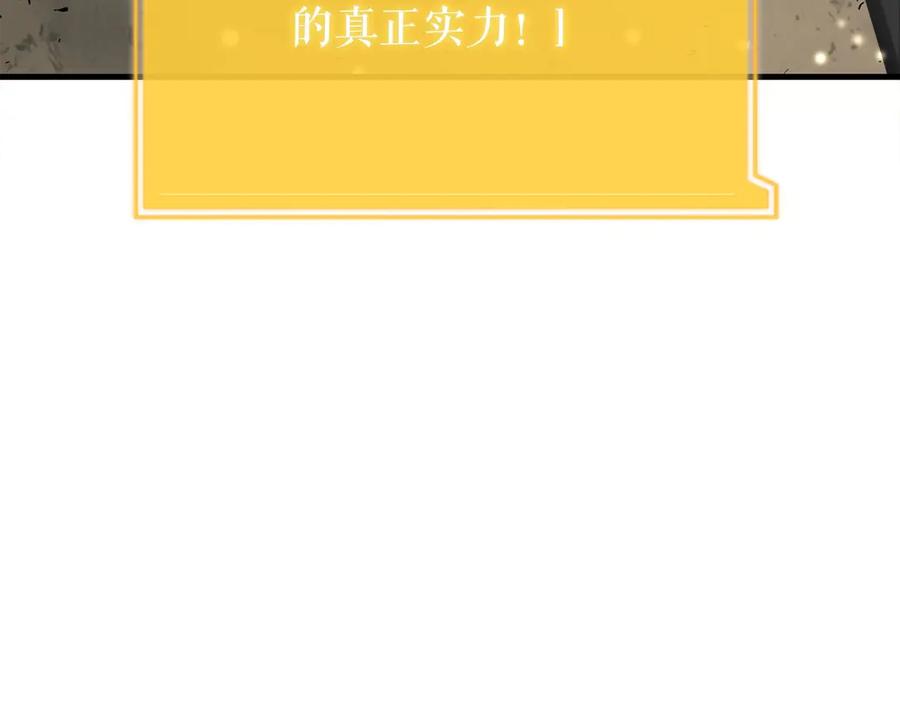 第242页