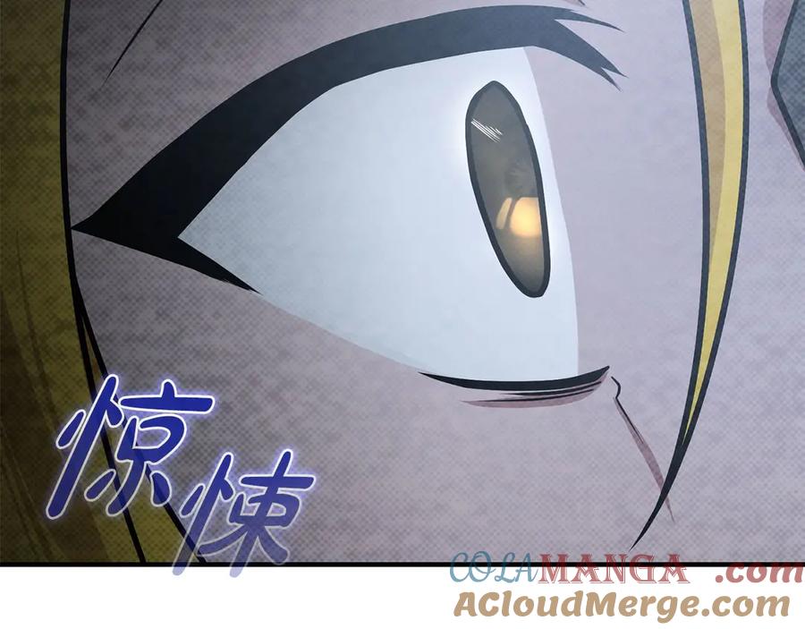 第241页