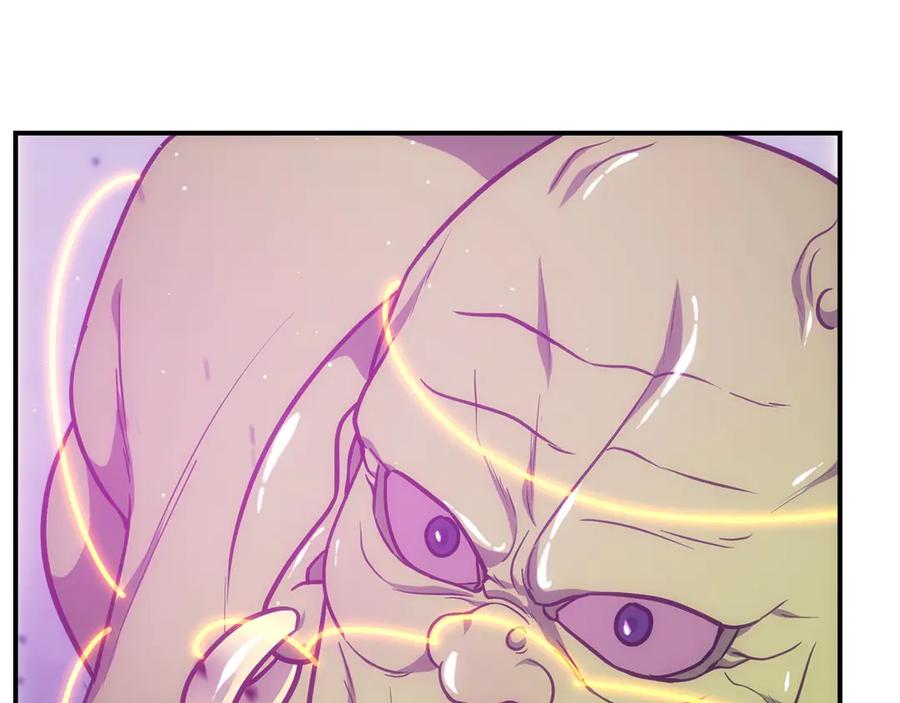 第234页