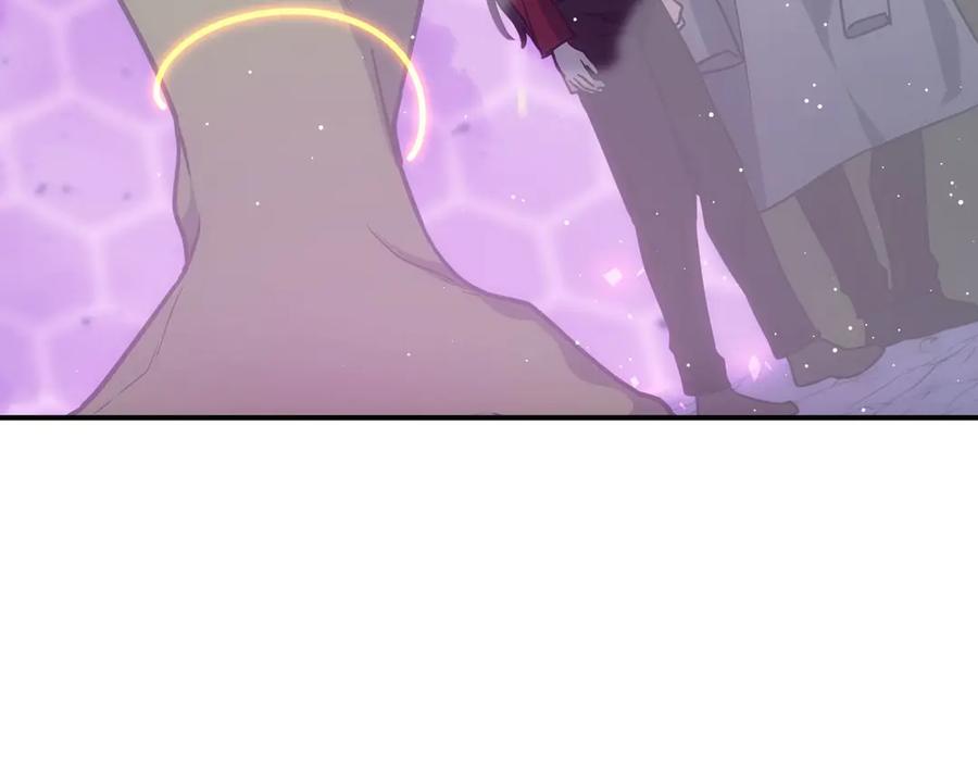 第243页