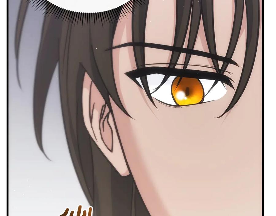 第239页