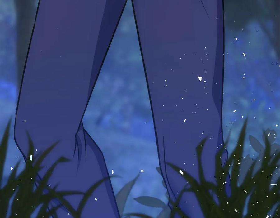 第260页