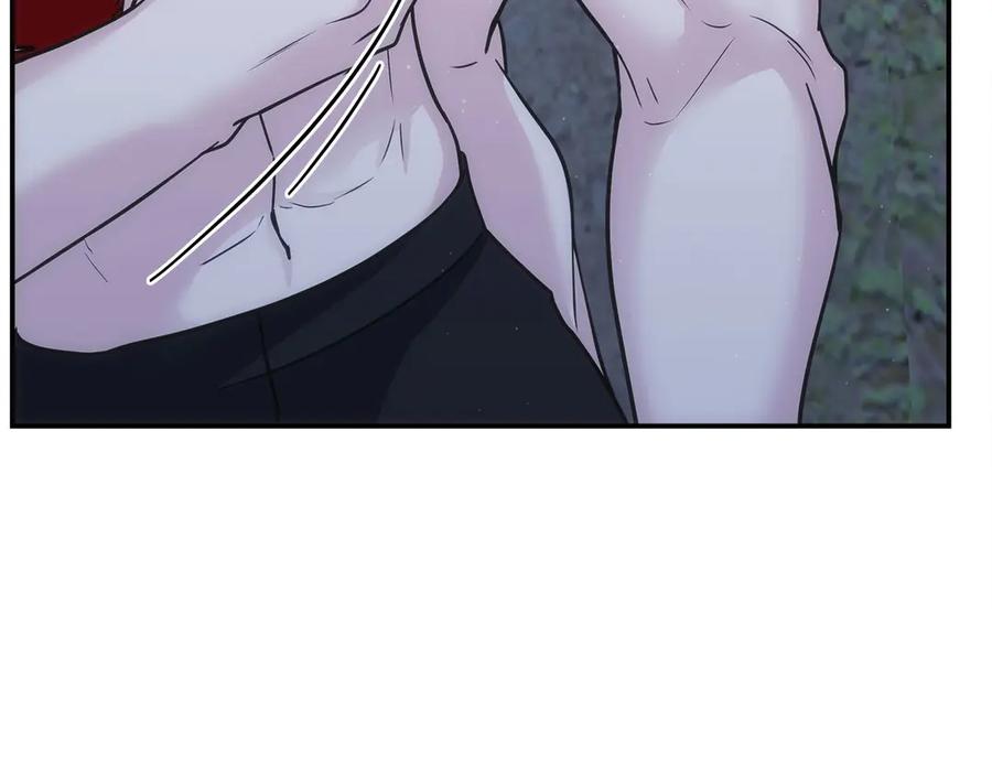 第223页