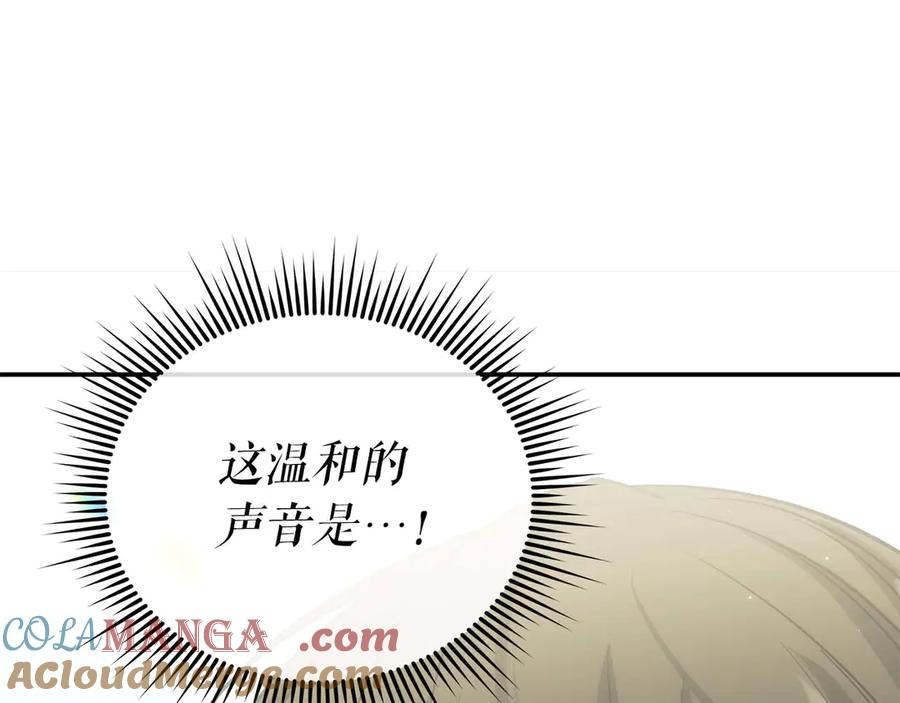 第221页