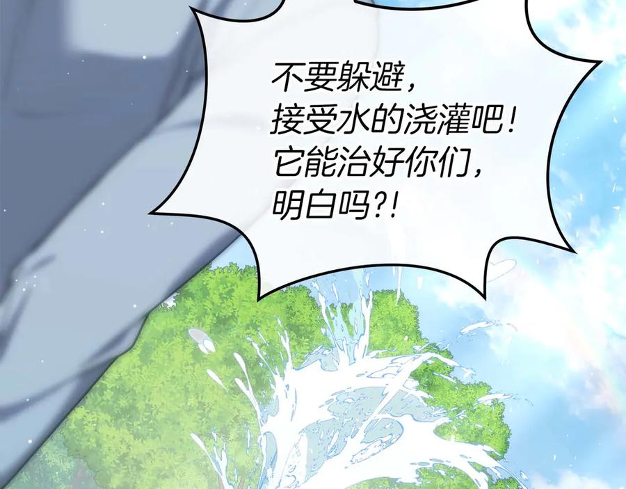 第236页