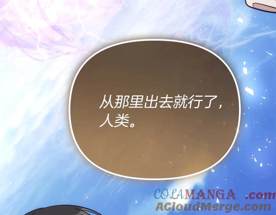 第241页