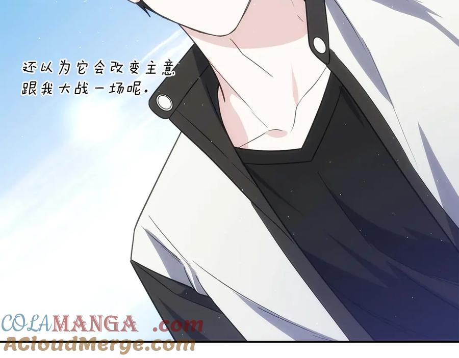 第245页