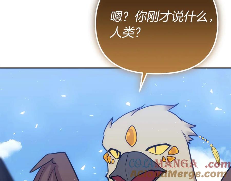 第257页