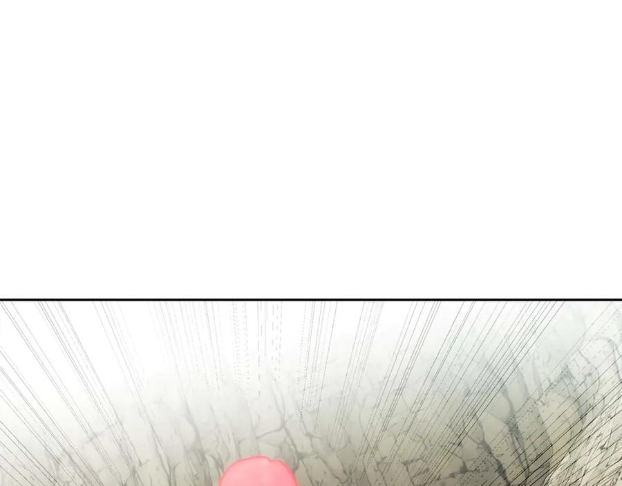 第244页