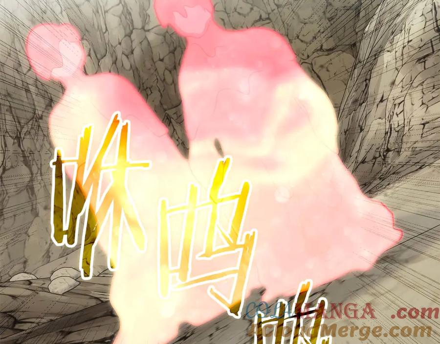 第245页