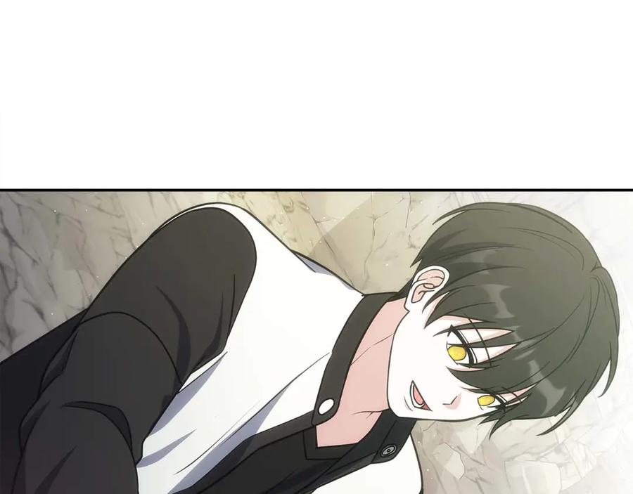 第204页